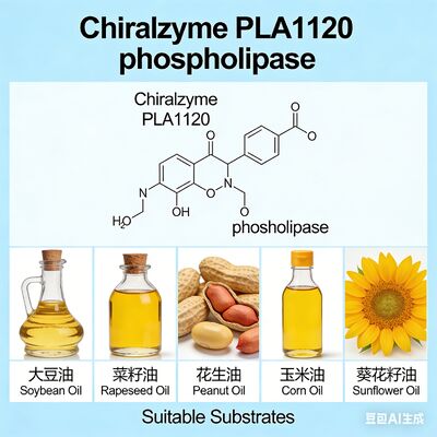 Хорошая цена. Хиралзим PLA1120. Высокоэффективная фосфолипаза А1 для обезжирения масла. онлайн