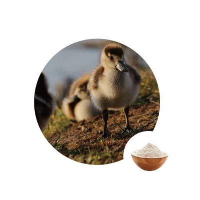 Хорошая цена. оксидазы глюкозы 10000u g в энзимах птицы 1.1.3.4 номера Ec пищевой промышленности онлайн