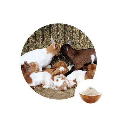 Хорошая цена. Ec 1.1.3.4 оксидазы глюкозы пищевой добавки онлайн