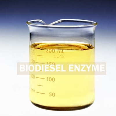 Хорошая цена. Произведенный энзим липазы Biosurfactants для улучшенного спасения биодизеля онлайн
