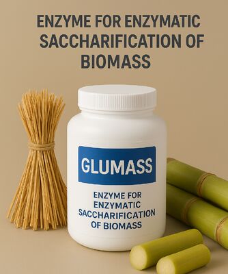 Хорошая цена. Высокоэффективный фермент для полного осахаривания биомассы онлайн